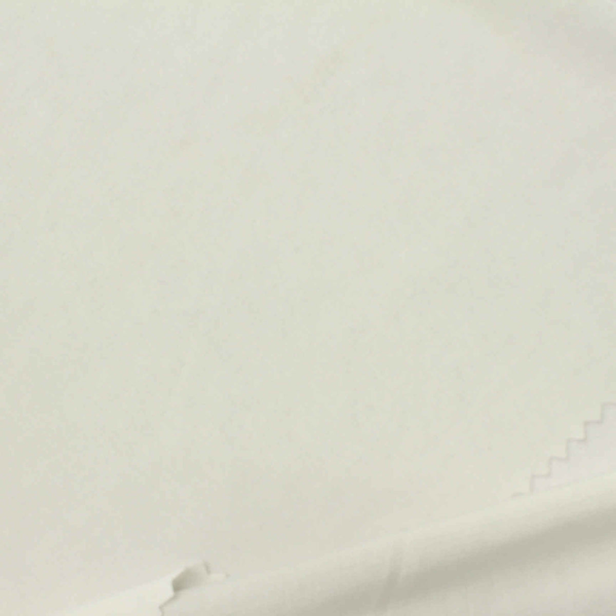 Off-White Jersey Knit, Polyester