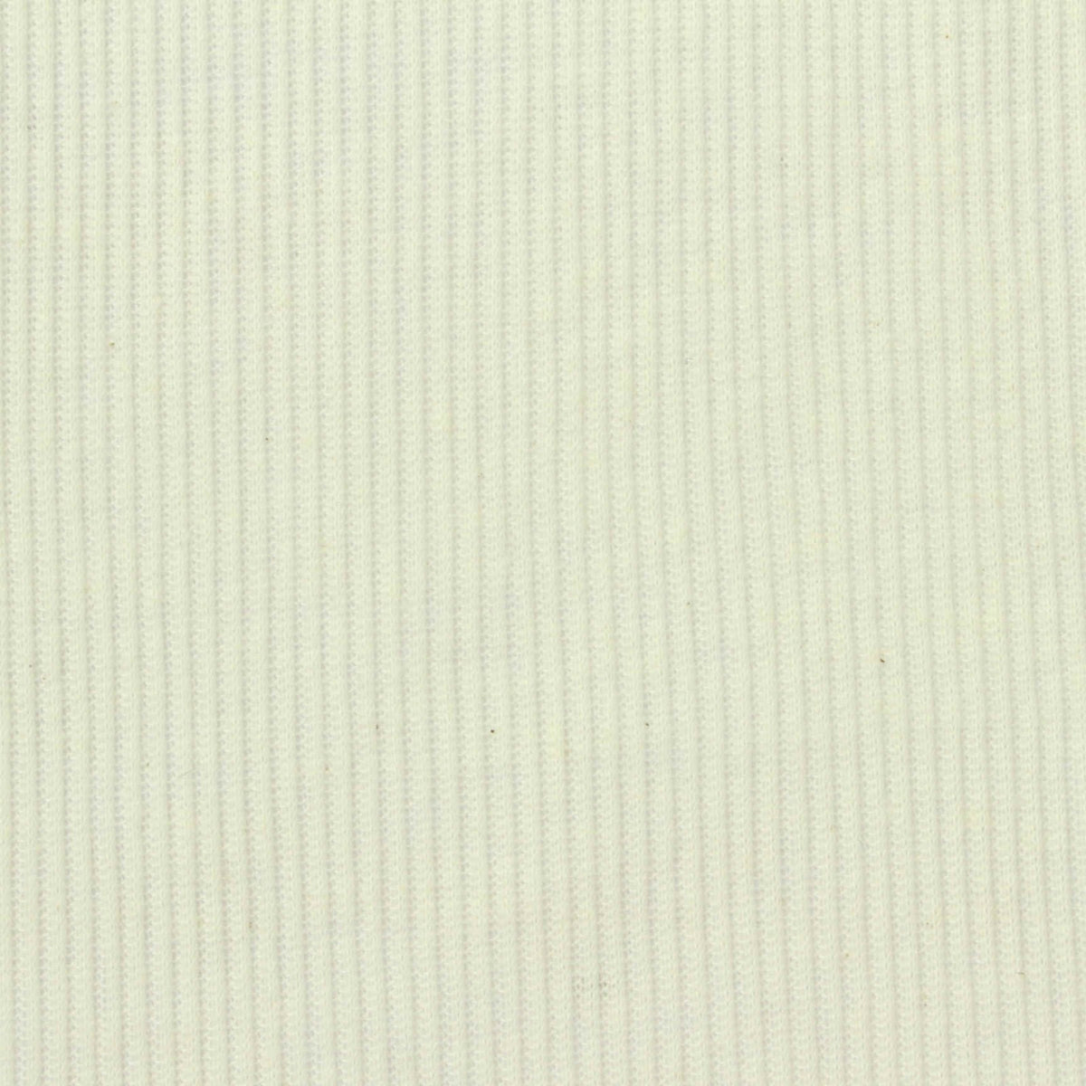 Polyester Cotton Rib Knit Fabric, 95 gsm, 165 cm — Beige