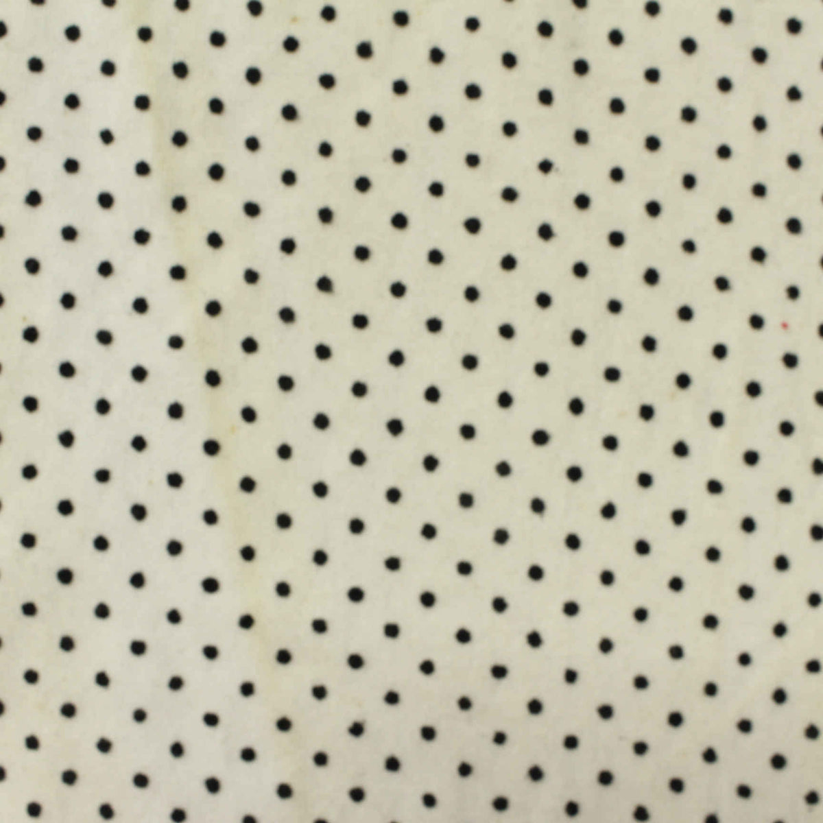 Black Dots Jersey Knit, Cotton, 140 gsm