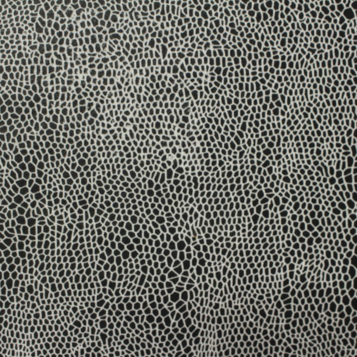 Black Animal Print French Terry, Poly-Cotton, 255 gsm
