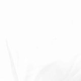 100% Polyester Woven Fabric, 113 gsm, 150 cm — White