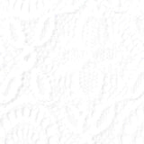 White Tone-on-Tone Floral Lace, Nylon — texture