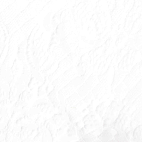 White Tone-on-Tone Floral Lace, Nylon, 78 gsm