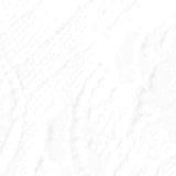 White Tone-on-Tone Floral Lace, Nylon — texture