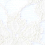 Cream Tone-on-Tone Floral Lace, Cotton-Nylon — texture