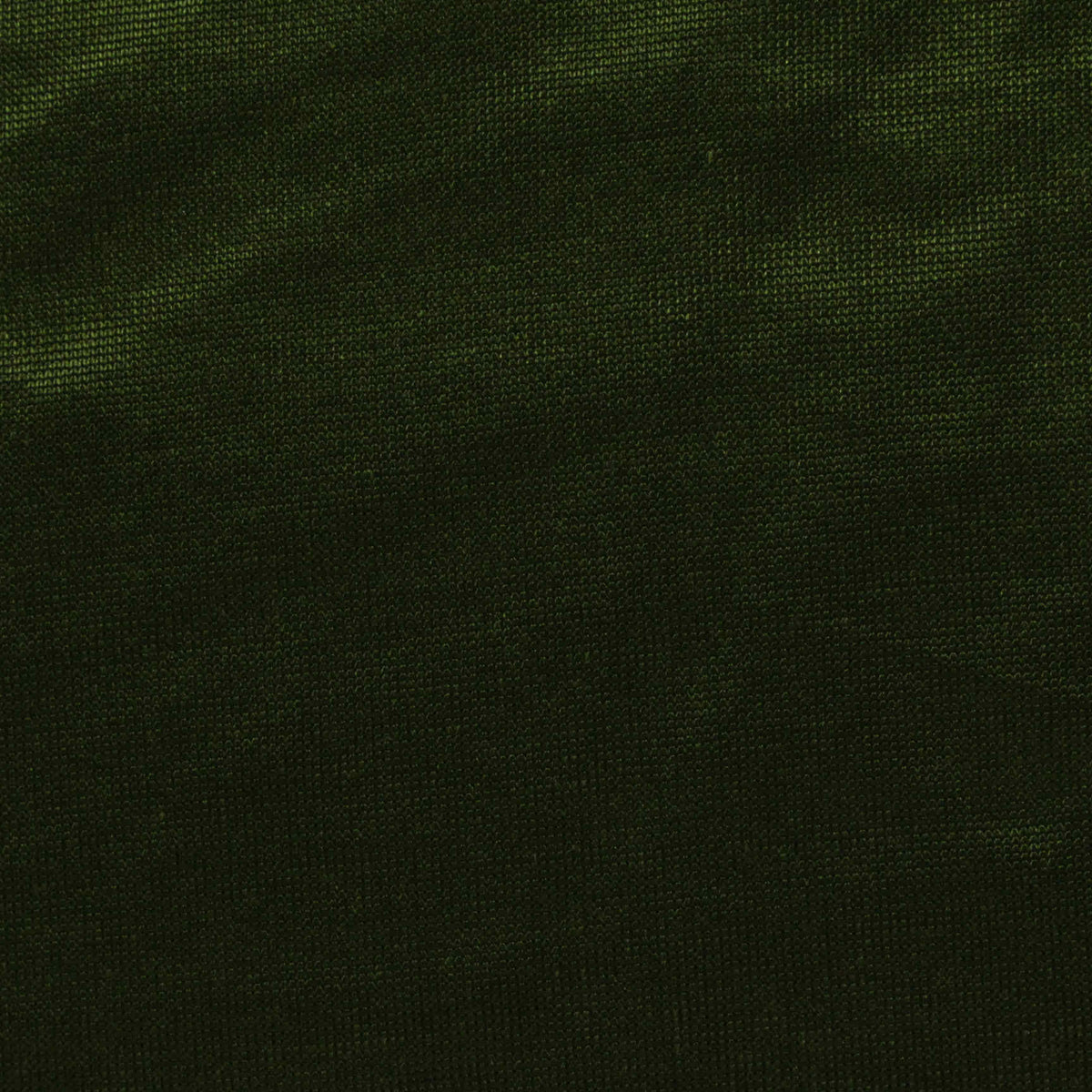 Viscose Modal Blend Jersey Knit Fabric, 170 gsm, 175 cm — Green, ref EF-227453