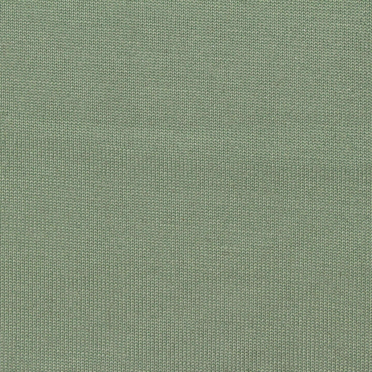 Viscose Polyester Jersey Knit Fabric, 140 gsm, 192 cm — Green