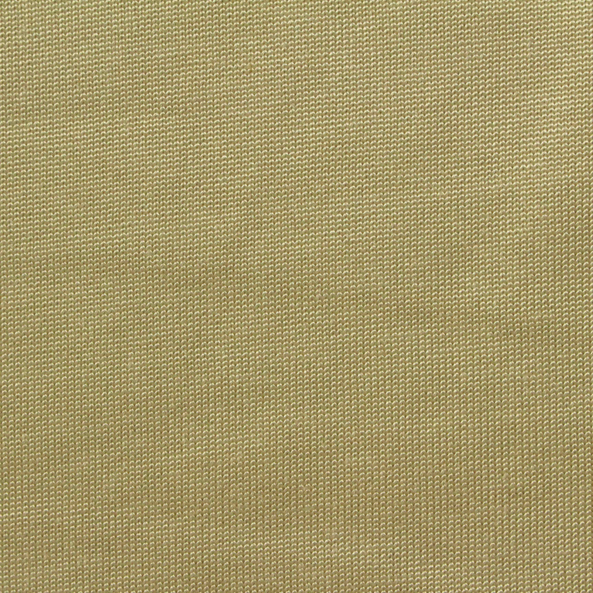 Cotton Viscose Jersey Knit Fabric, 230 gsm, 170 cm — Khaki