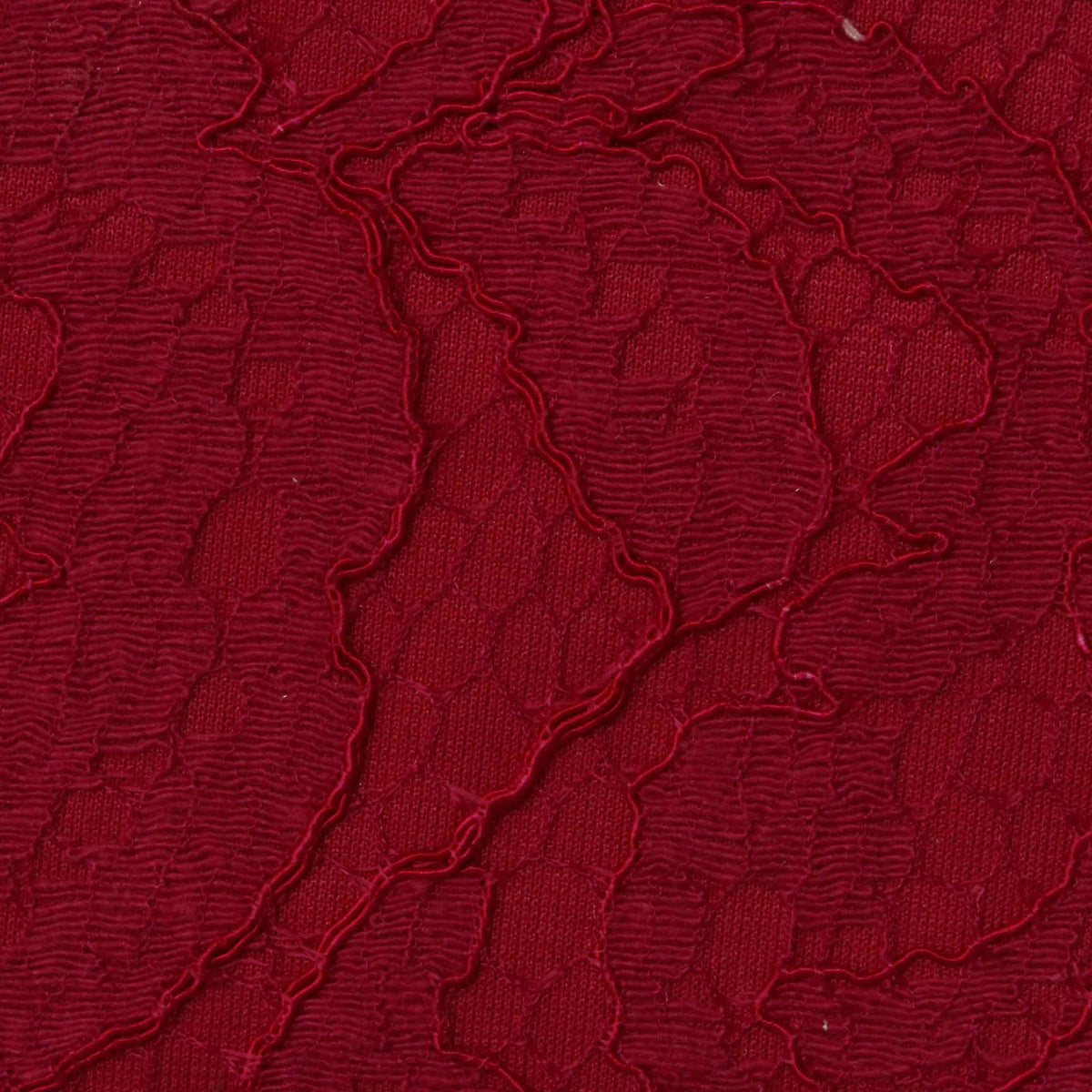 Red Tone-on-Tone Lace