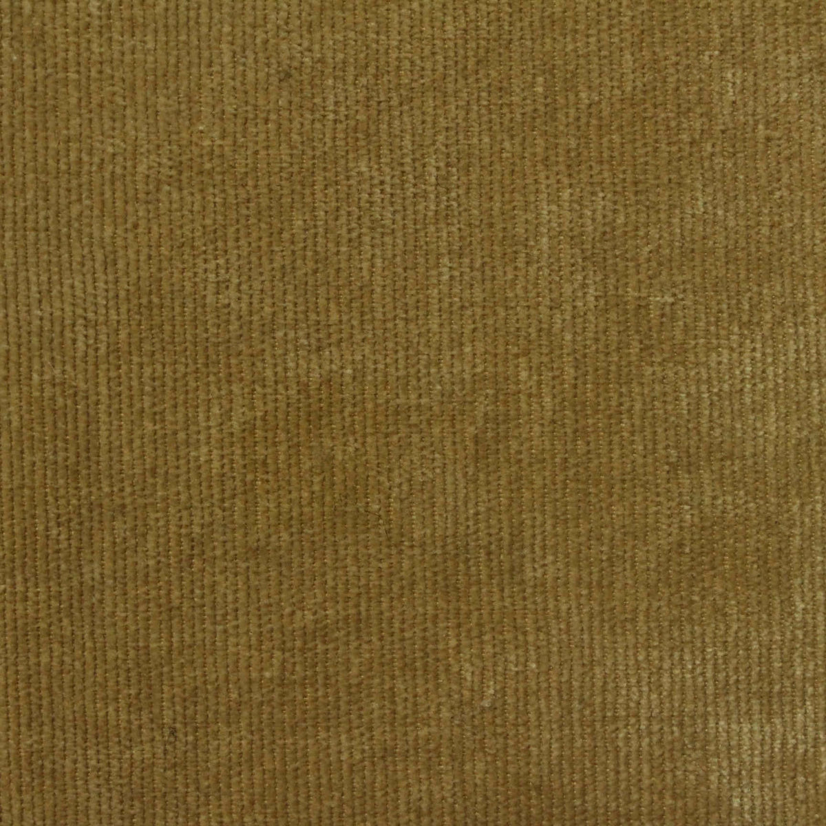 Polyester Corduroy Fabric, 230 gsm — Khaki, ref EF-232384