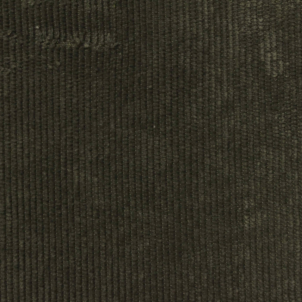 Polyester Stretch Corduroy Fabric, 240 gsm — Green