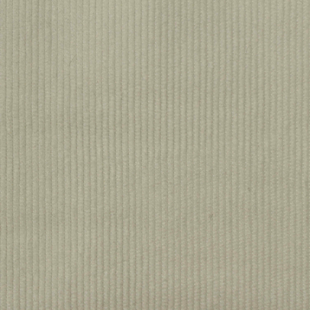 Polyester Stretch Corduroy Fabric, 245 gsm — Khaki