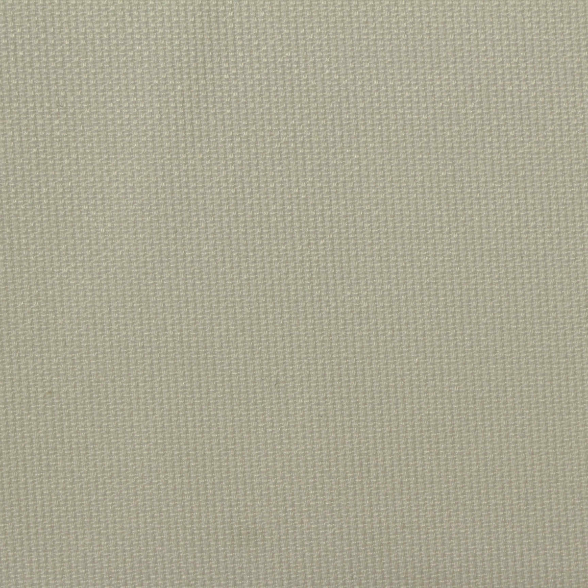 Brushed Polyester Stretch Piqué Knit Fabric, 220 gsm — Khaki, ref EF-232407