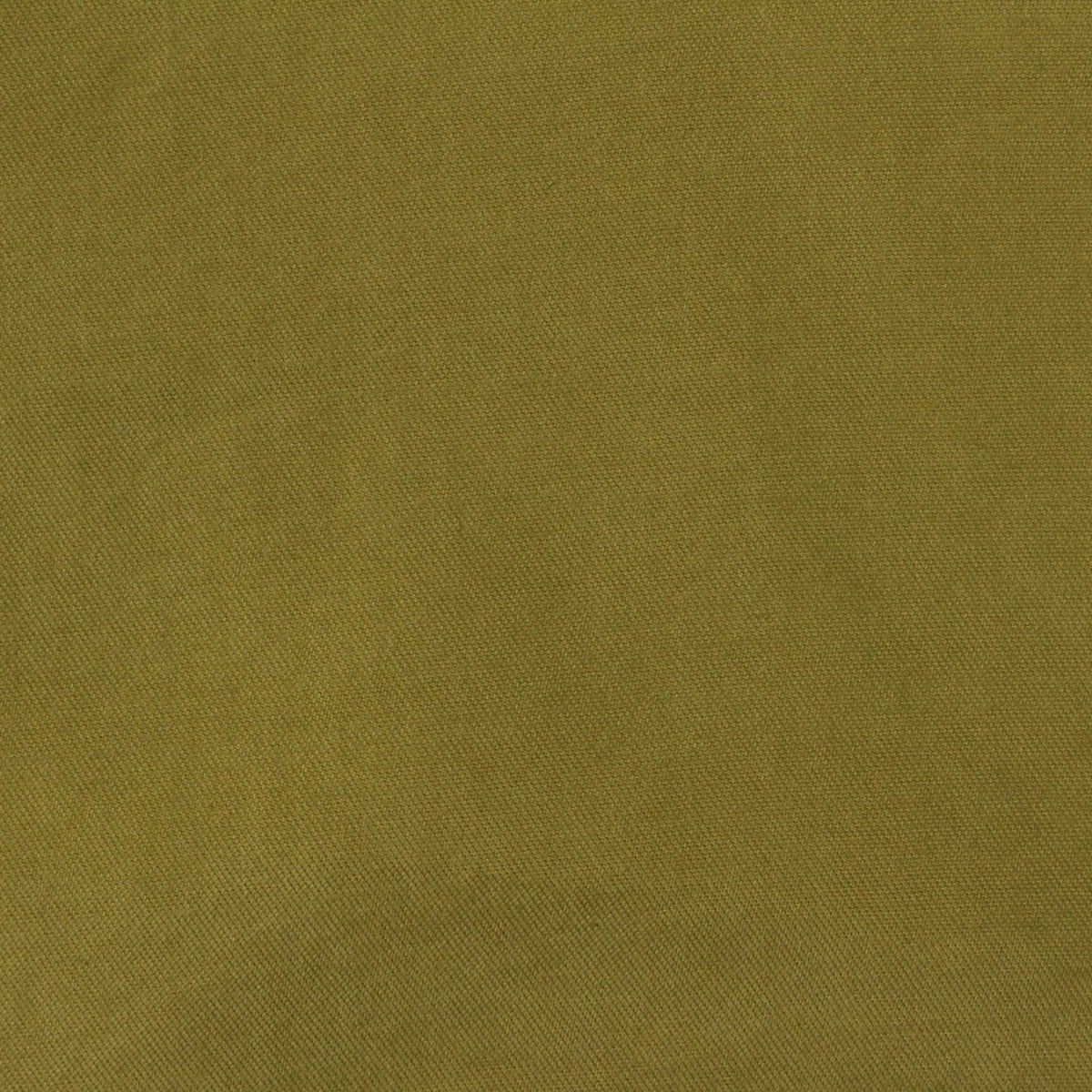Brushed Polyester Woven Fabric, 125 gsm — Khaki, ref EF-232409
