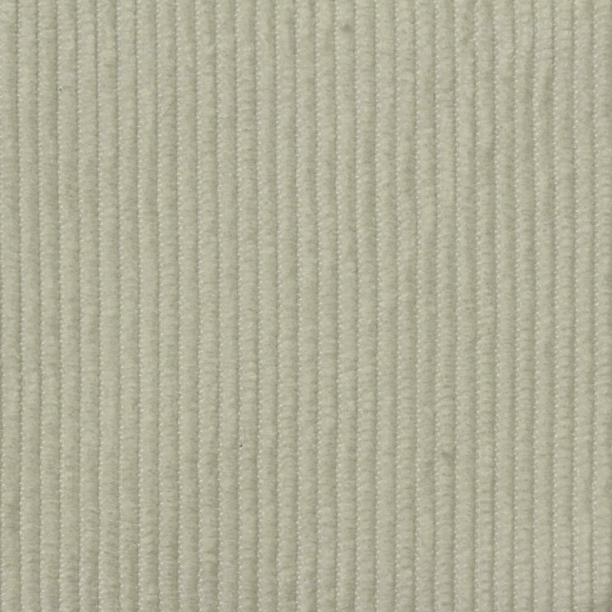 Polyester Stretch Corduroy Fabric, 265 gsm — Beige