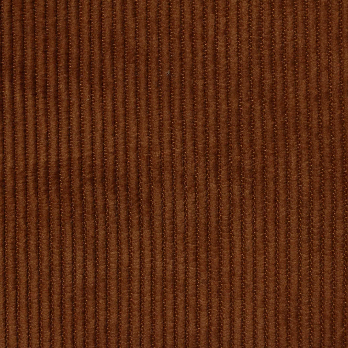 Polyester Stretch Corduroy Fabric, 263 gsm — Brown