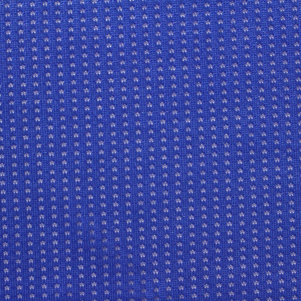 Blue Dots Mesh, Polyester