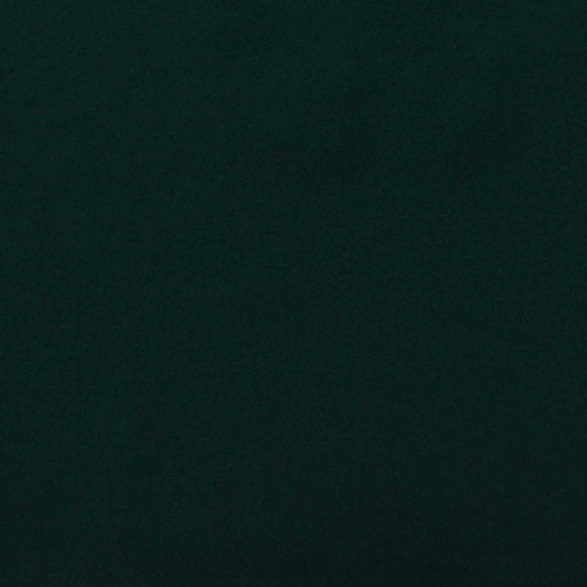 Brushed Nylon Stretch Interlock Knit Fabric, 210 gsm, 160 cm — Green