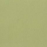Polyester Stretch Woven Fabric, 303 gsm, 150 cm — Green