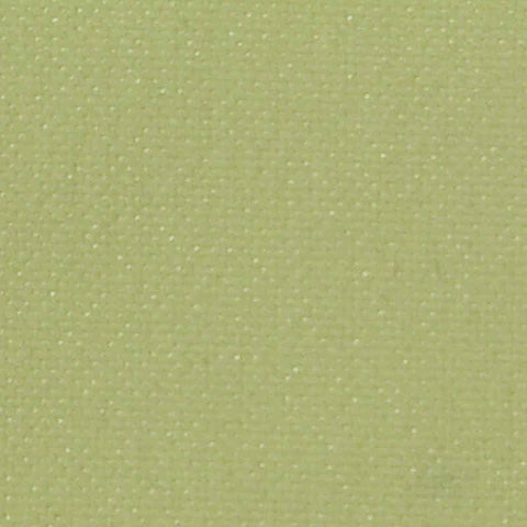 Pale Sage Canvas, Polyester