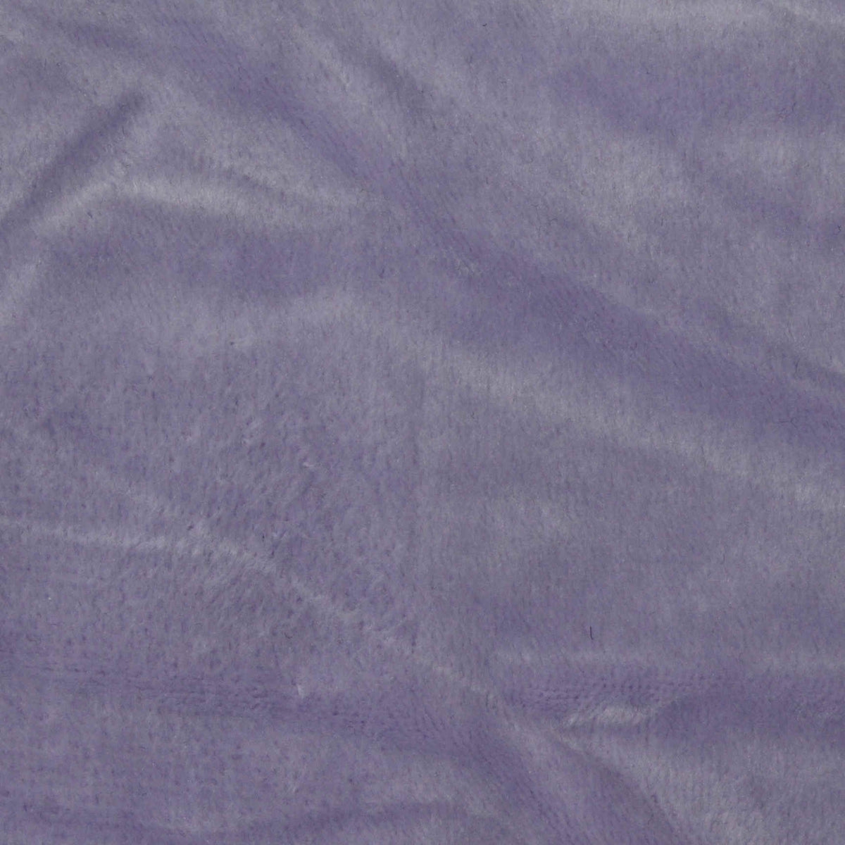 Lavender Plush Minky