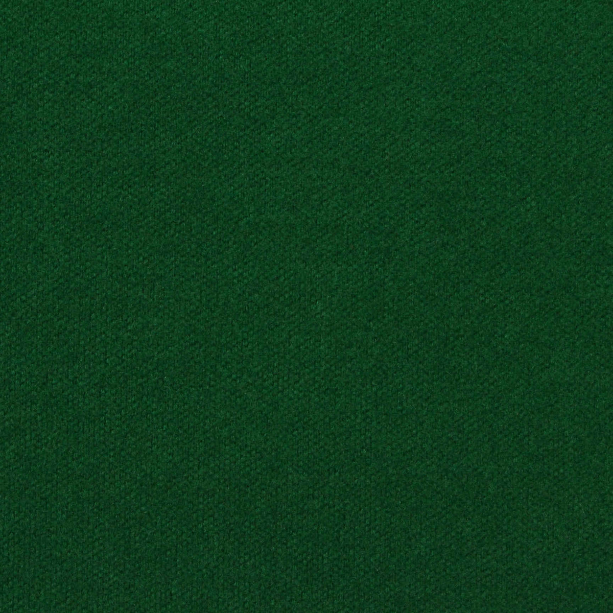 Polyester Stretch Velvet Fabric, 530 gsm, 170 cm — Green
