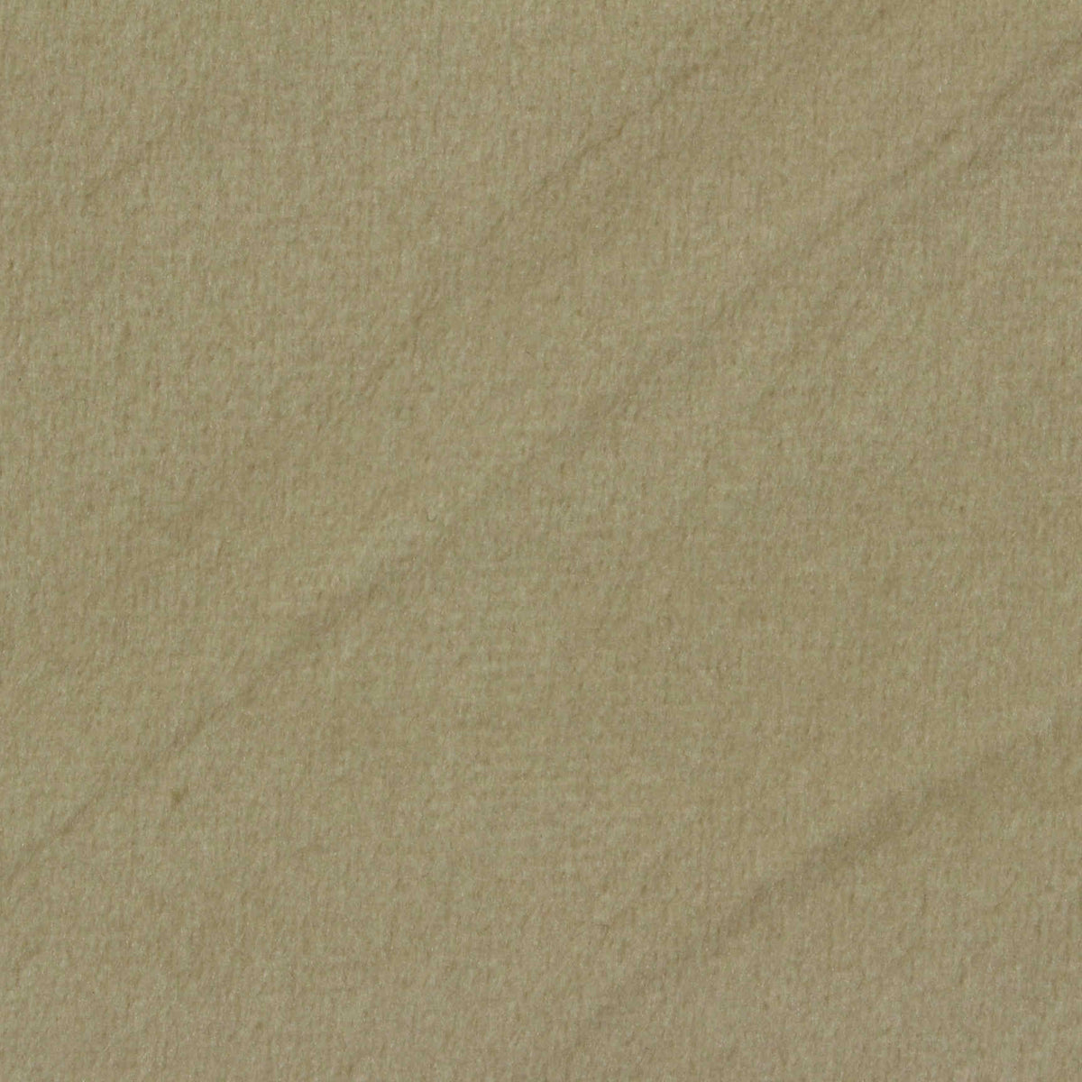 Polyester Stretch Warp Knit Fabric, 260 gsm — Khaki, ref EF-234640