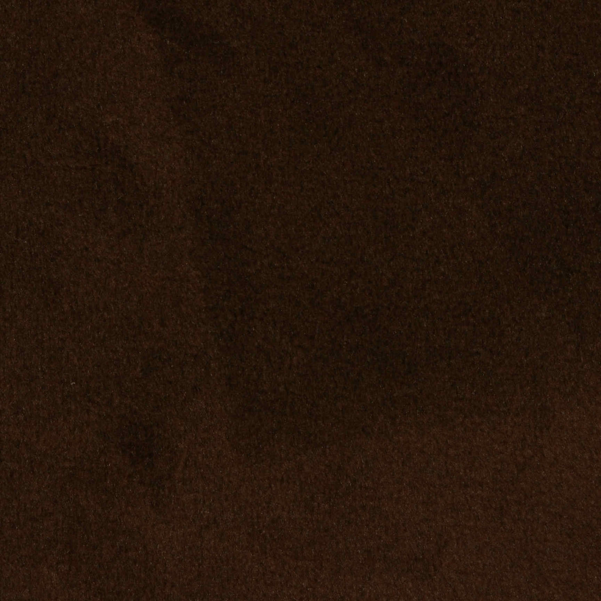 Polyester Stretch Warp Knit Fabric, 260 gsm — Brown