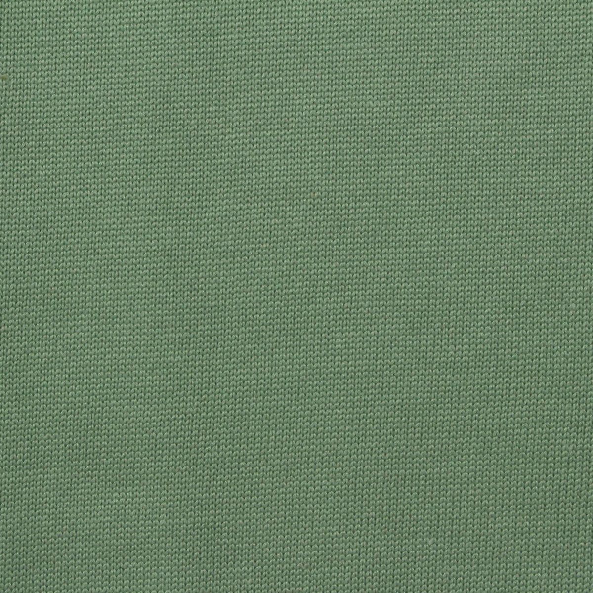 Polyester Cotton Jersey Knit Fabric, 190 gsm, 160 cm — Green