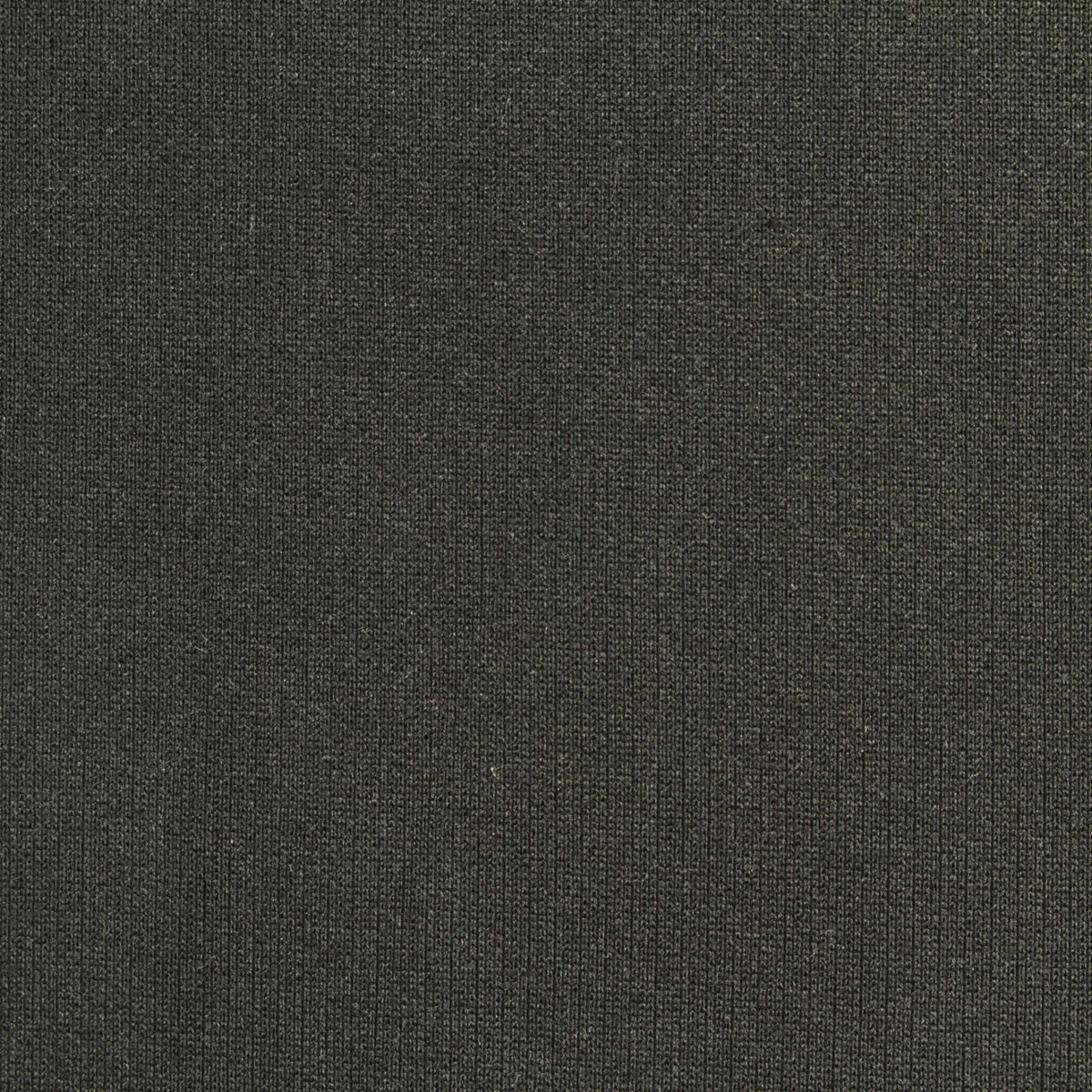 Polyester Stretch Rib Knit Fabric, 280 gsm, 160 cm — Green, ref EF-235844