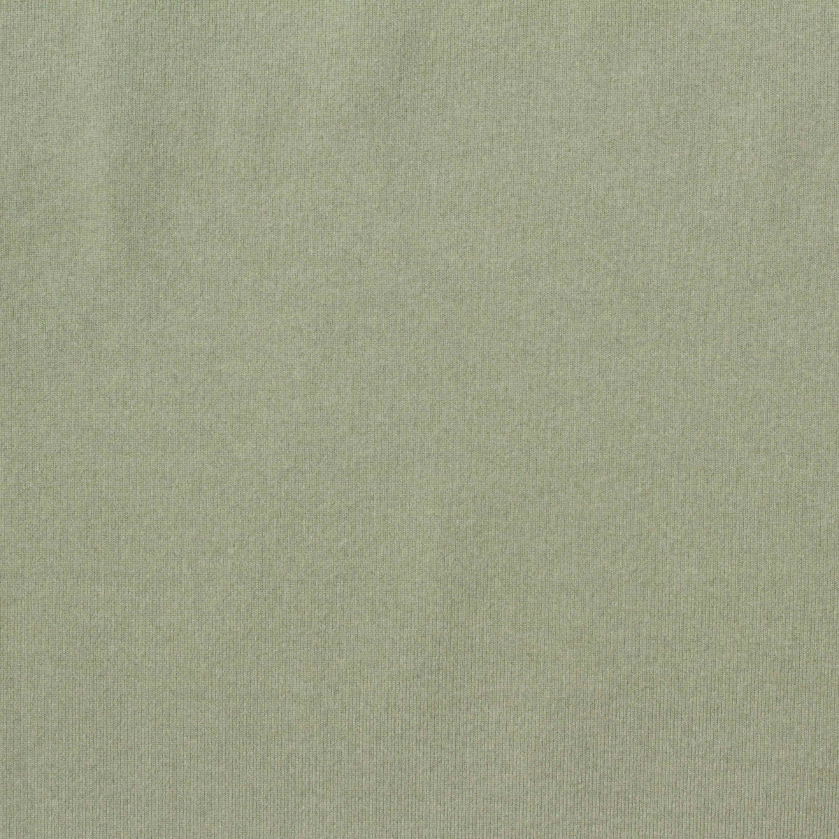 Brushed Polyester Stretch Jersey Knit Fabric, 200 gsm, 160 cm — Green
