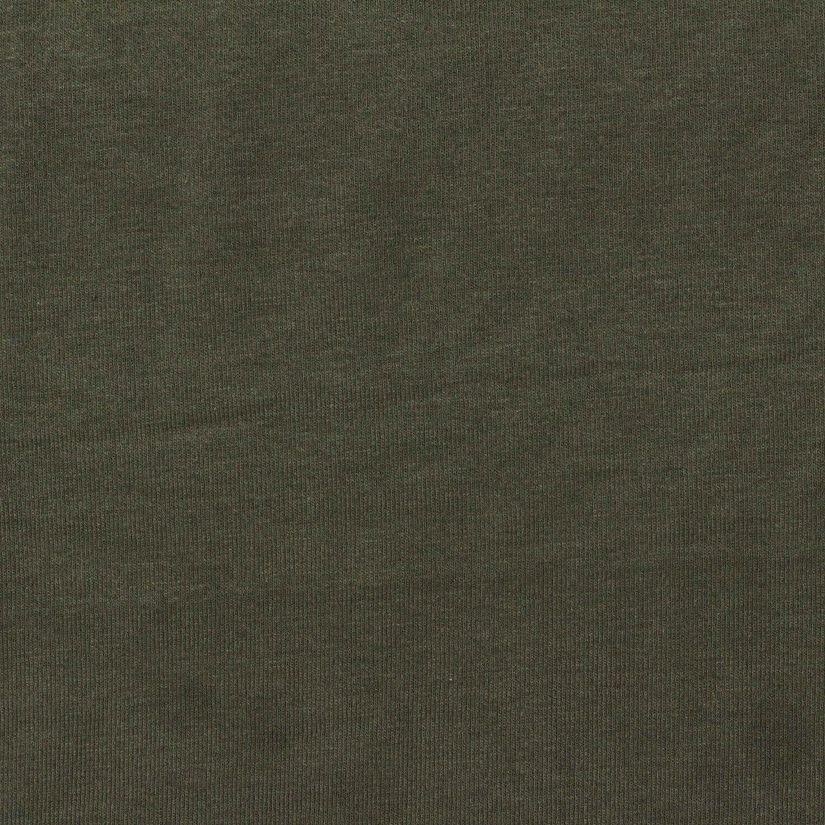 Viscose Stretch Jersey Knit Fabric, 200 gsm, 150 cm — Green, ref EF-236416