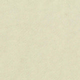 Polyester Cotton French Terry Fabric, 245 gsm — Beige — texture