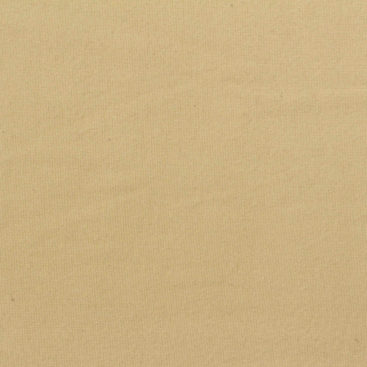 Polyester Stretch Knit Fabric, 260 gsm — Khaki