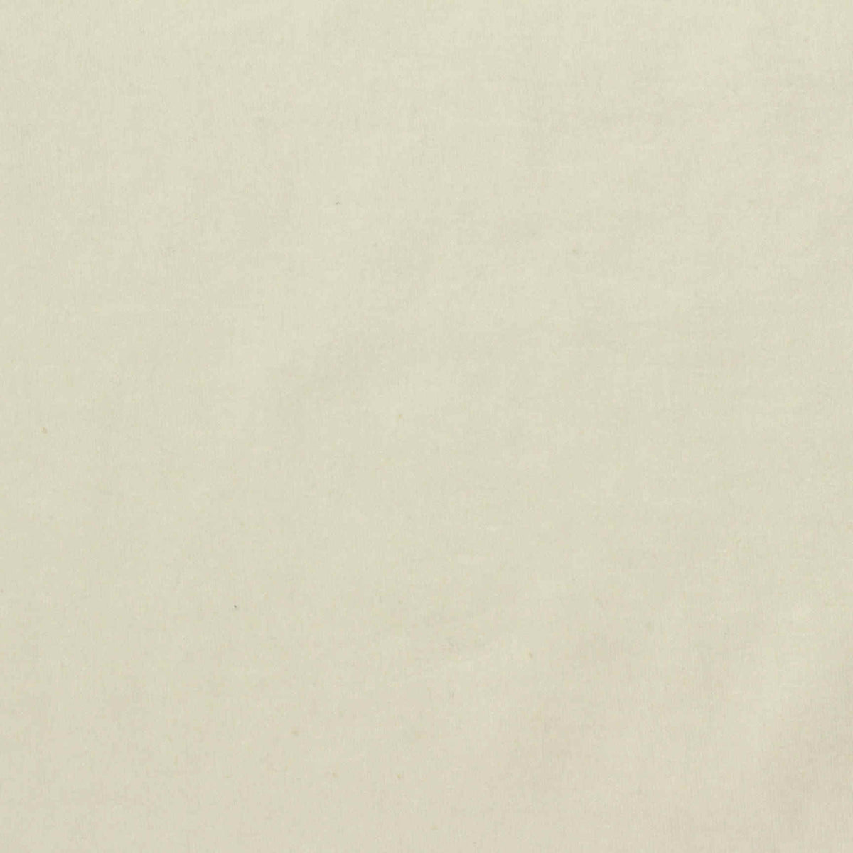 Off-White Jersey Knit, Cotton-Poly