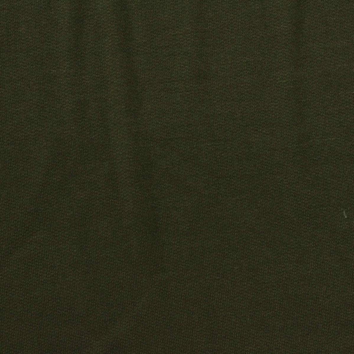 Viscose Polyester Stretch French Terry Fabric, 180 gsm, 160 cm — Green