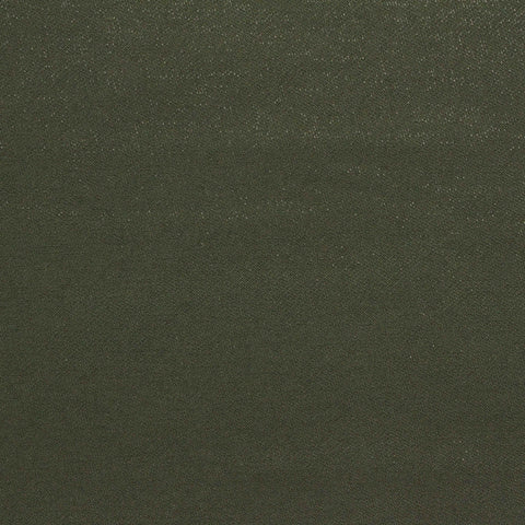 Polyester Stretch Chiffon Fabric, 250 gsm, 150 cm — Green, ref EF-237544