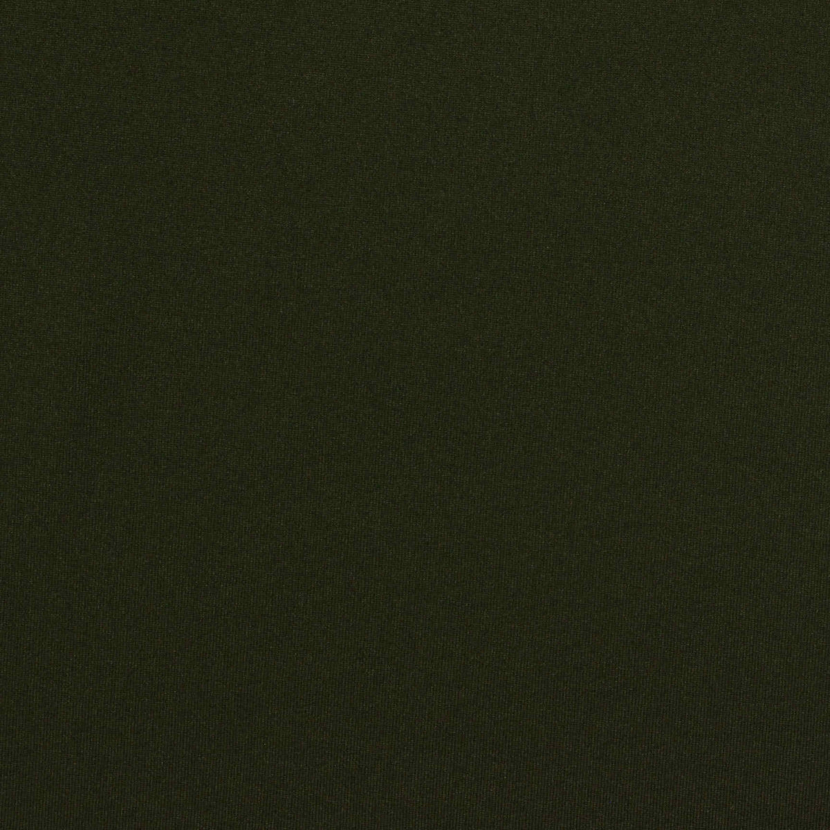 Polyester Stretch Milk Silk Knit Fabric, 140 gsm, 160 cm — Green, ref EF-238038