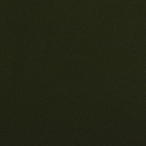 Polyester Stretch Milk Silk Knit Fabric, 140 gsm, 160 cm — Green, ref EF-238038
