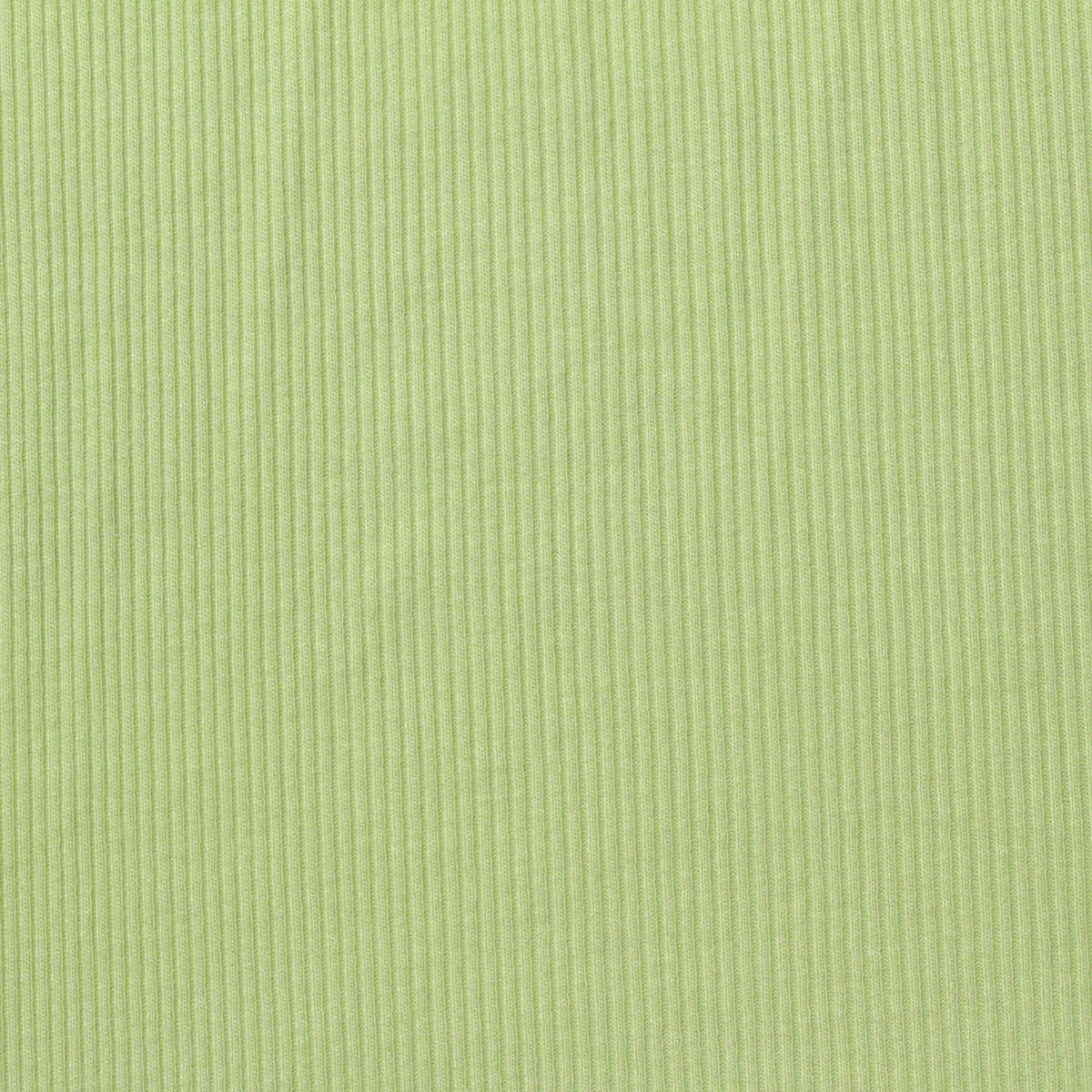 Viscose Stretch Rib Knit Fabric, 230 gsm, 170 cm — Green