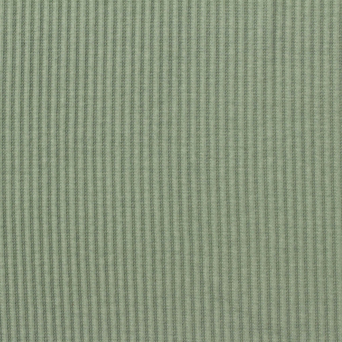 Rib Knit Fabric, 255 gsm, 120 cm — Green