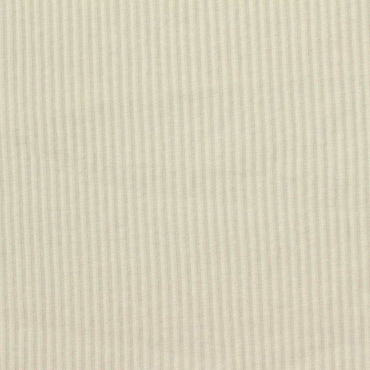 Beige Stripes Rib Knit, 255 gsm