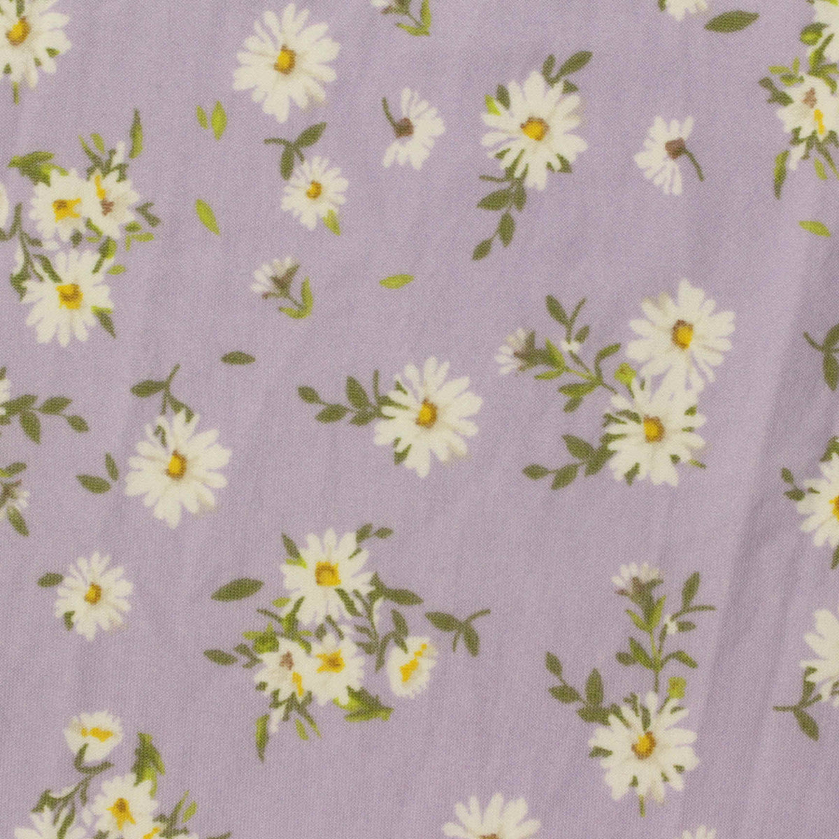 White Daisies Milk Silk Knit, Polyester