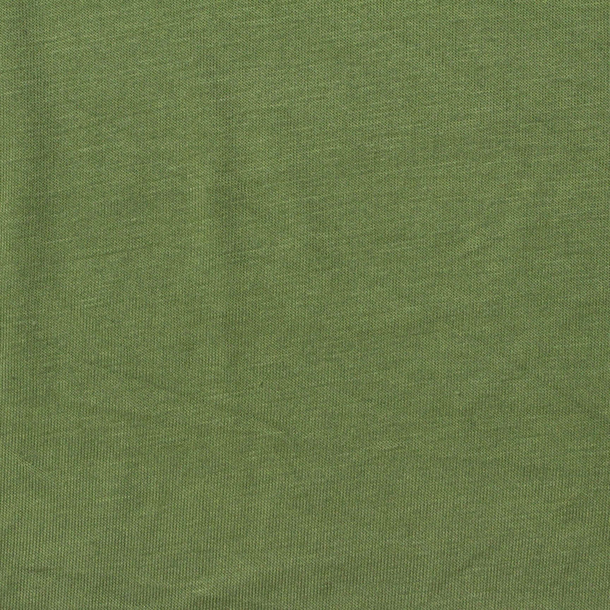 Viscose Stretch Jersey Knit Fabric, 170 gsm, 180 cm — Green, ref EF-238517