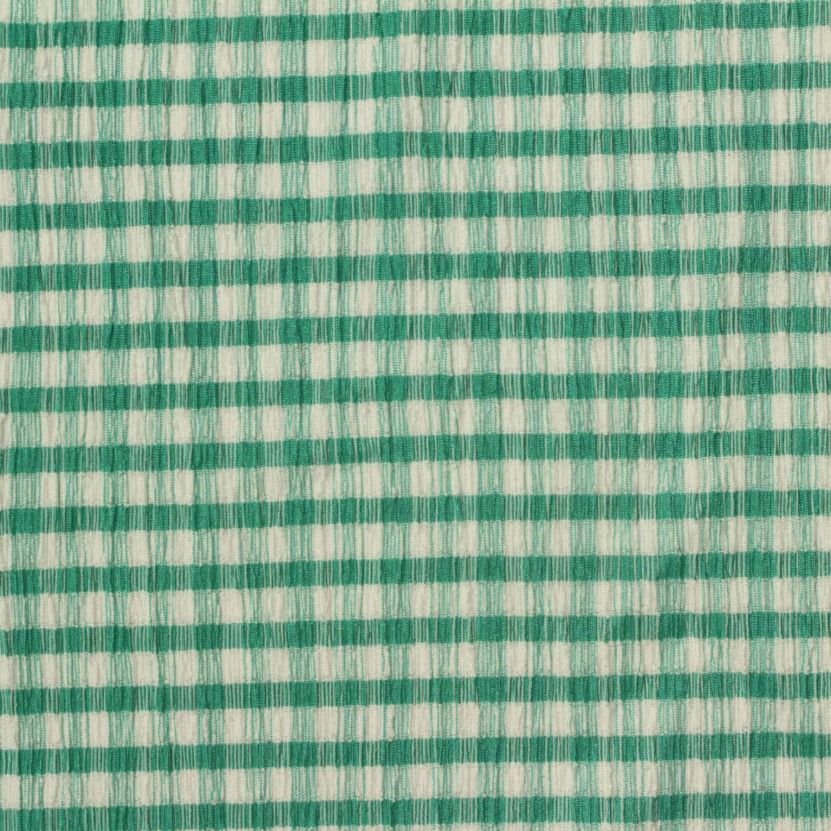Green Check Warp Knit