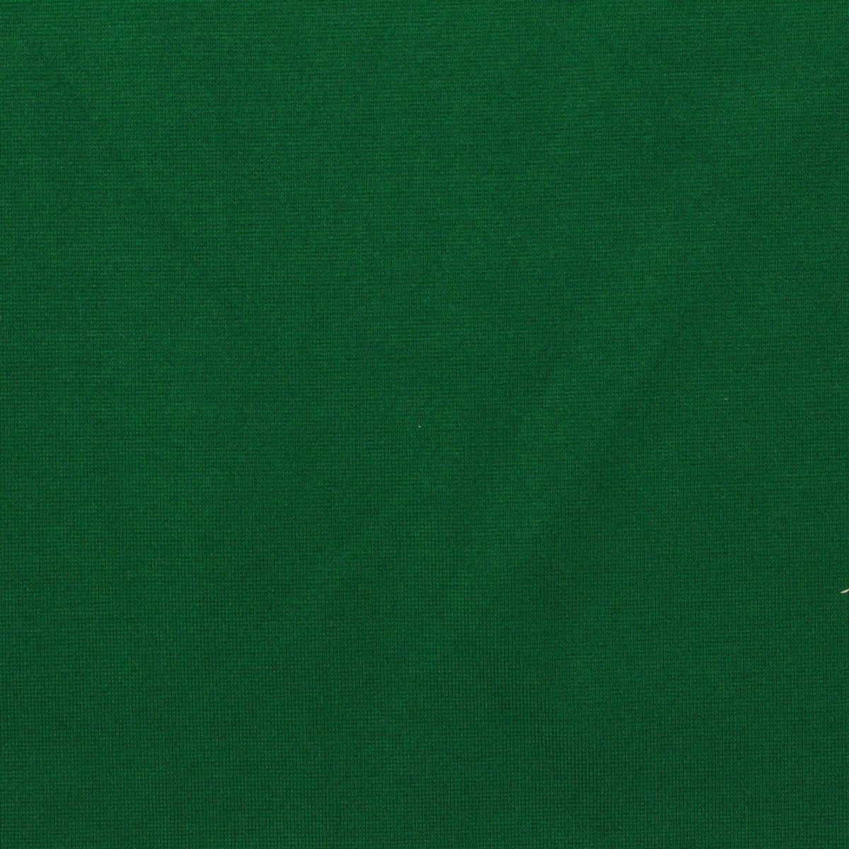 Viscose Nylon Stretch Ponte Knit Fabric, 345 gsm — Green