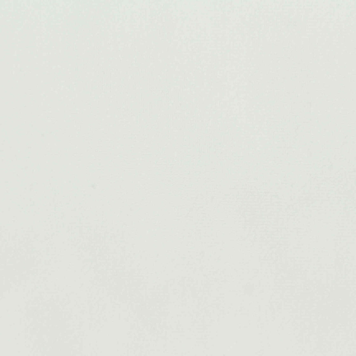 100% Polyester Warp Knit Fabric, 230 gsm, 150 cm — White