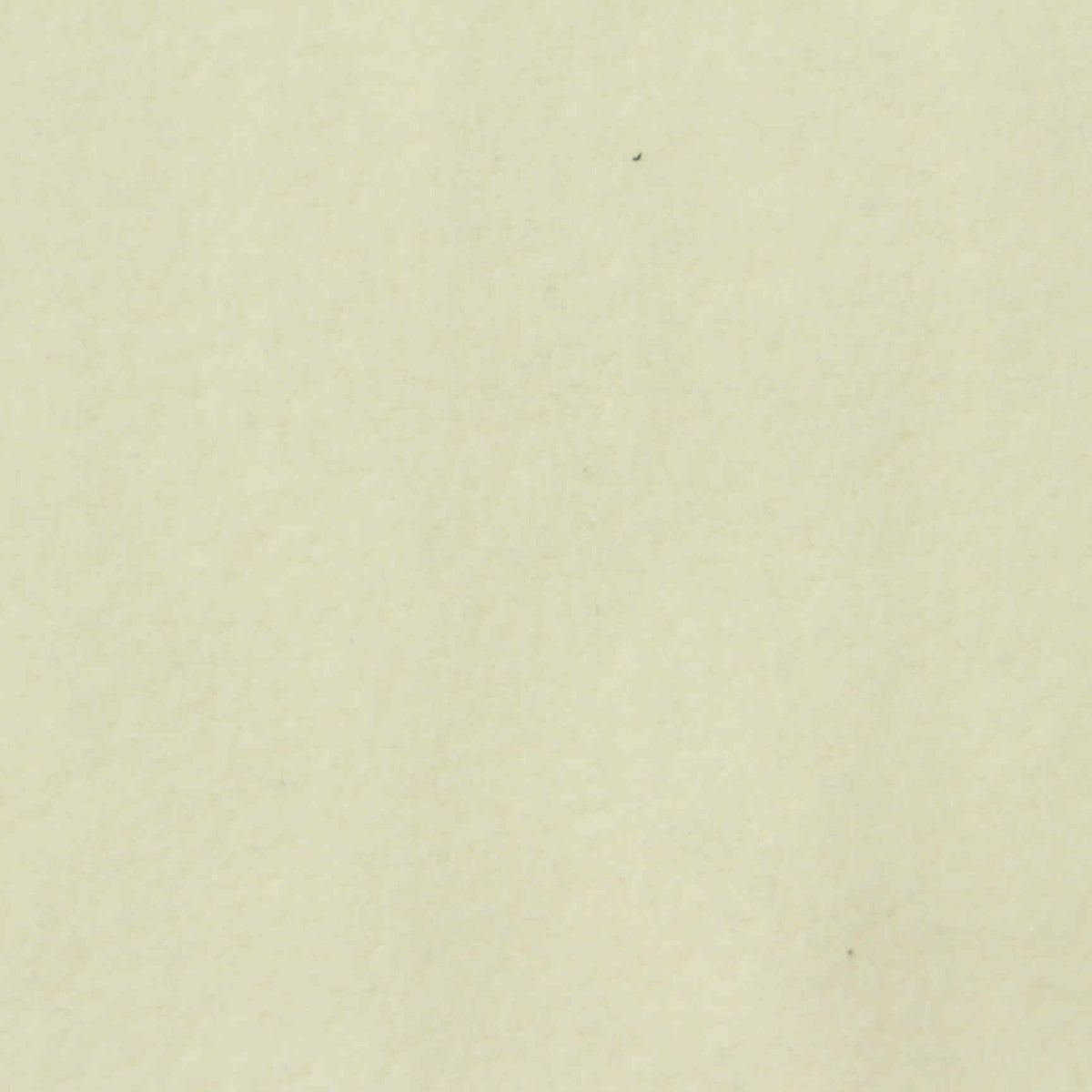 100% Polyester Fleece Fabric, 135 gsm, 160 cm — Khaki