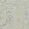 Cream Floral Lace, Cotton-Nylon, 145 cm, ref EF-243178