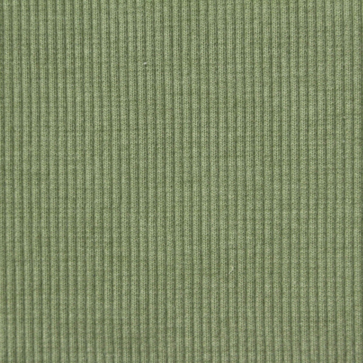 Cotton Polyester Rib Knit Fabric, 469 gsm, 140 cm — Green